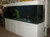 DSCN1177.JPG