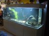 DSCN1262.JPG