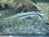 DSCN1265.JPG
