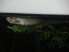 DSCN1308.JPG