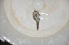 DSC_3412.JPG DSC_3412.JPG