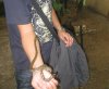 IMG_5453.JPG