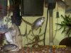 100_1697.JPG