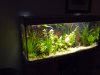 NEW CAMERA! AMAZING PICS! 016.JPG