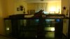 DSC05101.JPG