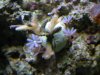 DSCN7191.JPG