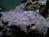 DSCN7192.JPG