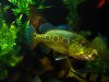 DSC07883.JPG