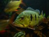 DSC07950.JPG