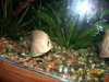 000_3210.jpg