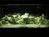 Aquarium 0078.jpg