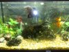 07082009267.jpg