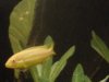 DSC01252.JPG