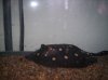 000_0541.jpg