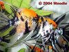 Koi-Angel-04.jpg