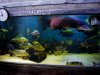 DSC07993.JPG