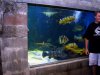 DSC07997.JPG