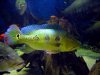 DSC08012.JPG
