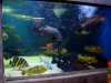 DSC08016.JPG