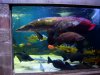 DSC08017.JPG