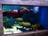 DSC08018.JPG