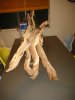 wood 006.JPG