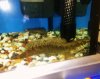 SNAKEHEAD7.jpg