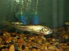 DSC00655.JPG