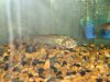 DSC00656.JPG