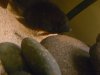 SDC11328.JPG