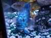 DSC01105.JPG