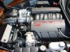8-18-09 BD stock 015.JPG