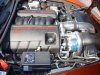 8-18-09 BD stock 016.JPG