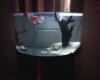 Fishytank yo.jpg