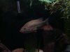 DSC03987.JPG