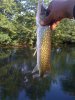 IMG_0825.JPG