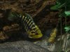 DSC03438.jpg