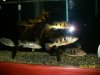 100_0457.jpg