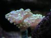 DSCN7247.JPG