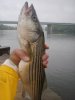 fishing 008.jpg