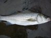 fishing 006.jpg