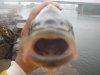fishing 009.jpg