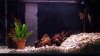 100_2623.jpg