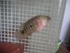 DSC02557.JPG
