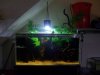 Tank Shots 001.jpg