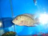 DSC05508.JPG