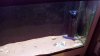 100_2746.jpg
