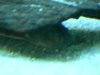 DSCN4677.JPG