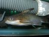 DSCN4638.JPG