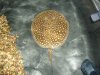 DSC00449.JPG